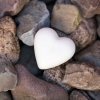 Love on the Rocks