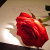 Send Her My Love