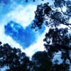 I Love the Lord