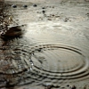 I Love a Rainy Night