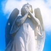 On the Side of Angels