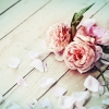 Con il nastro rosa