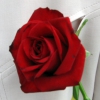 Love and Marriage
