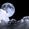 Blue Moon of Kentucky