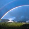 Smoky Mountain Rain