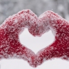Put a Little Holiday in Your Heart