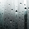 Steamy Windows