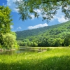 Forty Shades of Green