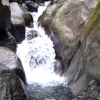 Silver Springs