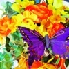 Fly Away