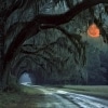 Seven Bridges Road (live)