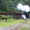Long Black Train