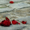Love Is a Losing Game