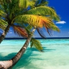 Almost Jamaica