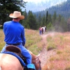 Rhinestone Cowboy