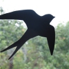 Free Bird (Single Version)