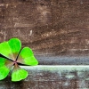 Ireland