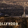 Hollywood Nights