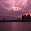 My Kind of Town (Chicago)