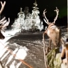 Reindeer Boogie