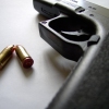 Gimme Back My Bullets