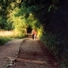 Walk Through This World with Me