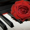For You