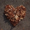 Heartland